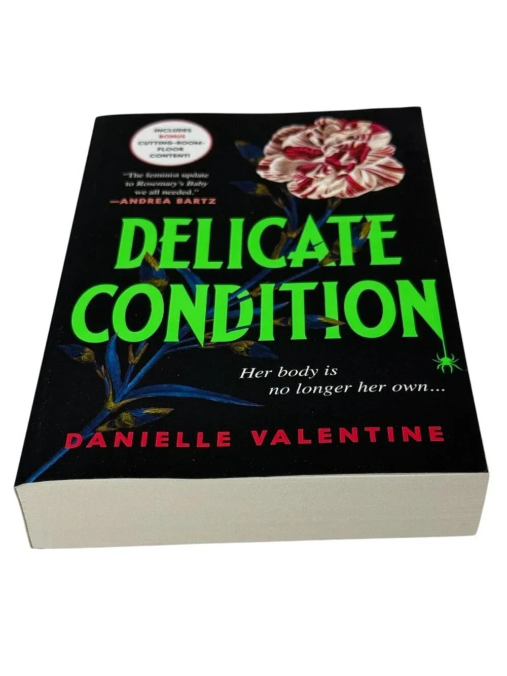 Delicate Condition Danielle Valentine New Paperback